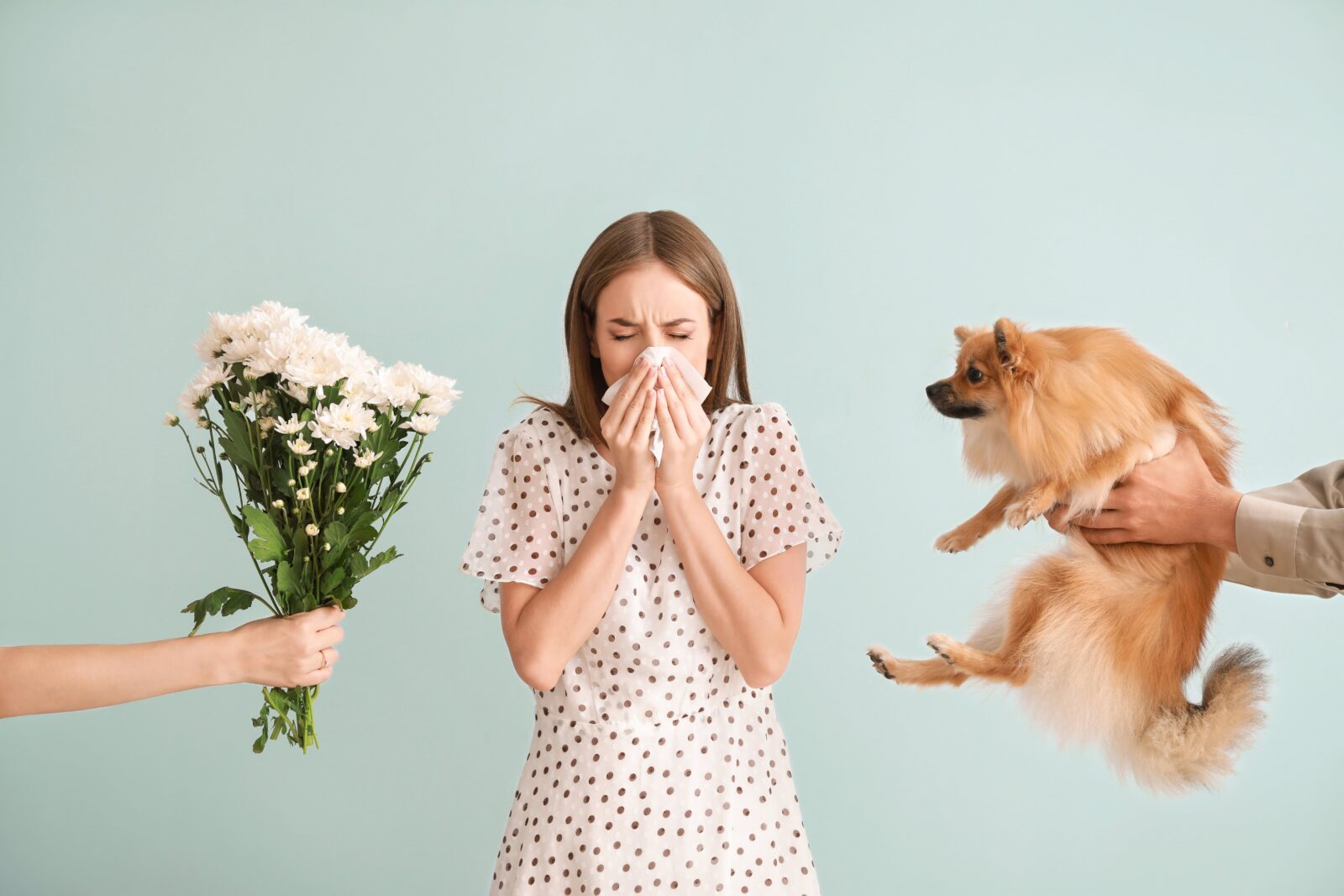 Eine Frau die eine niest und eine Allergie gegen Hunde und Pollen hat.